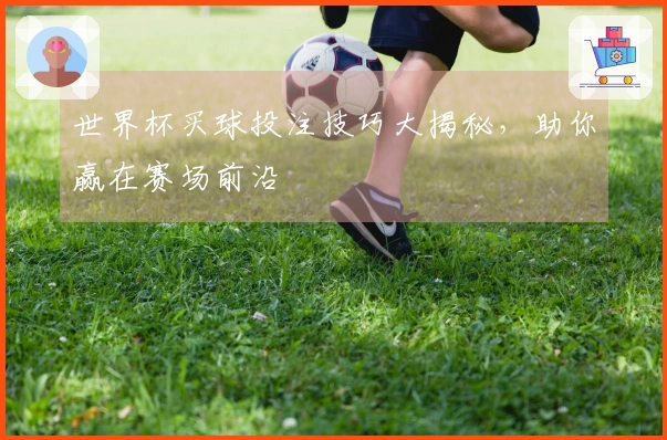 世界杯买球投注技巧大揭秘，助你赢在赛场前沿