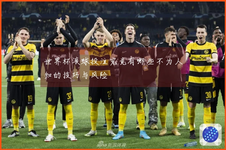 世界杯滚球投注究竟有哪些不为人知的技巧与风险
